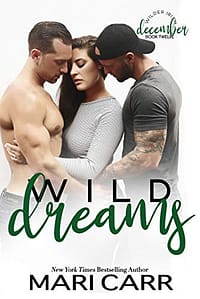 Wild Dreams: A Friends to Lovers romance (Wilder Irish Book 12)